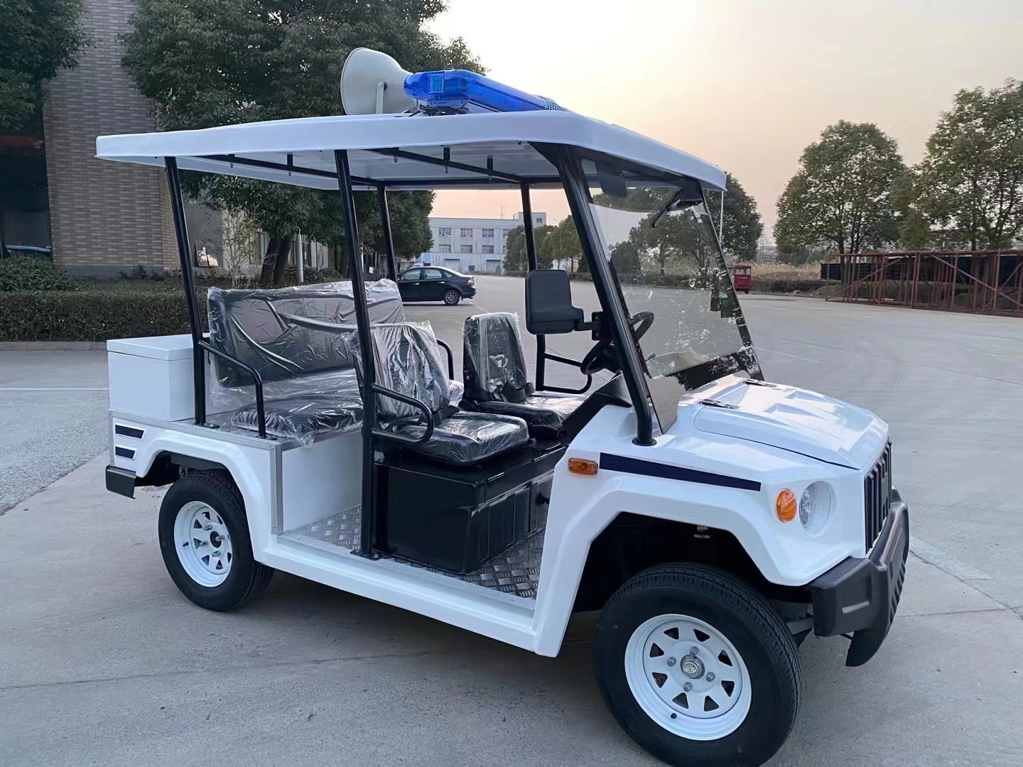 5座電動(dòng)巡邏車