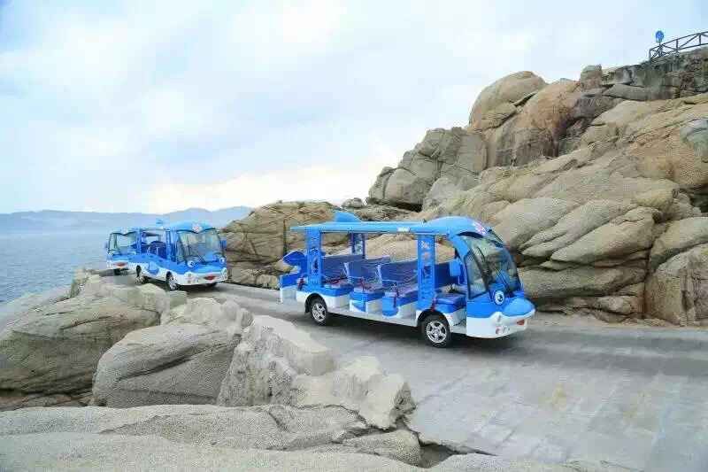 海豚卡通款電動觀光車