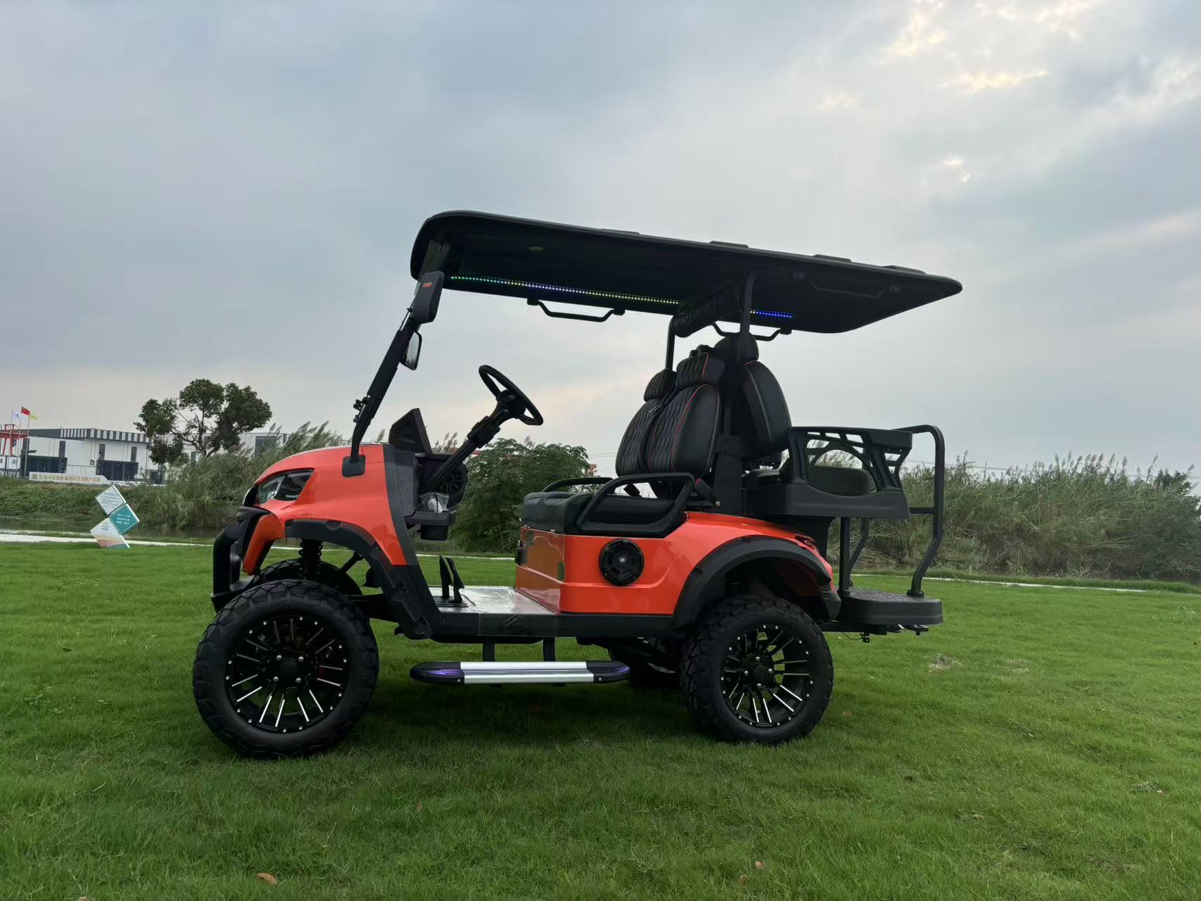 2+2越野高爾夫觀光車